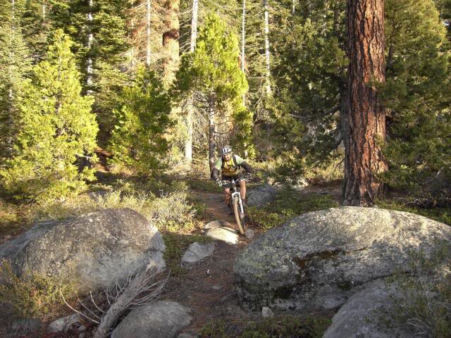  photo 454ed1f9e9af03.jpg